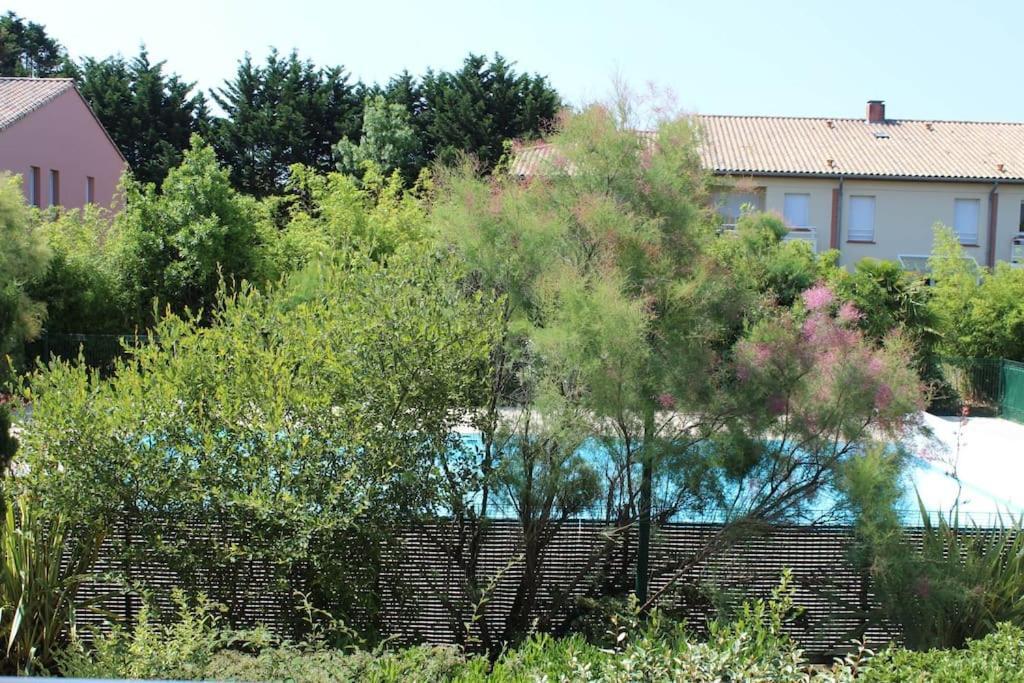 Residence Les Dunes- Appartement Avec Piscine 莱萨布勒-多洛讷 外观 照片